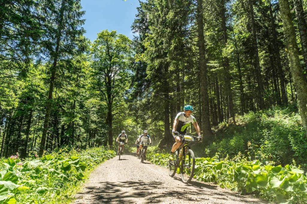 Waldlicht Titisee 外观 照片