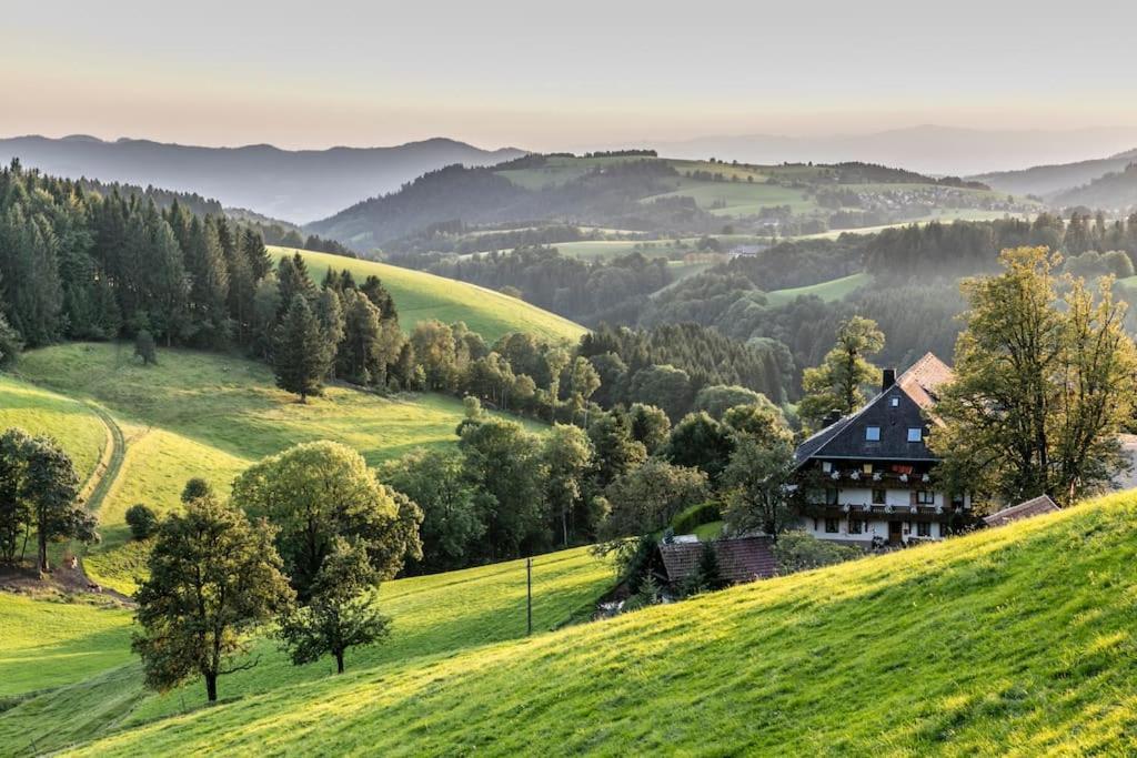 Waldlicht Titisee 外观 照片